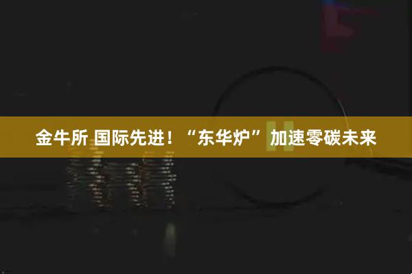 金牛所 国际先进！“东华炉” 加速零碳未来